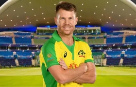 david warner could ditch bbl